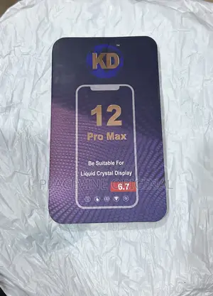 iPhone 12 Pro Max