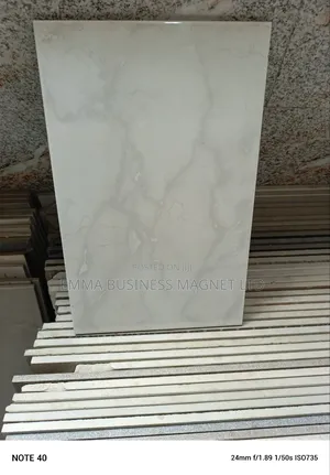 25x40 High Quality Royal Wall Tiles