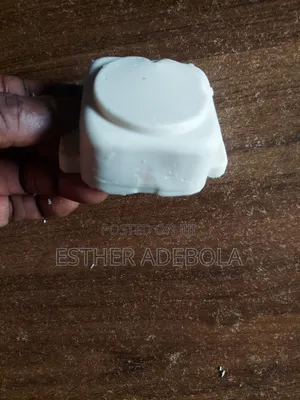 Bar Soap Training, Bathing,Laundry