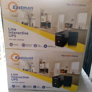 Eastman Line Interactive UPS 650va