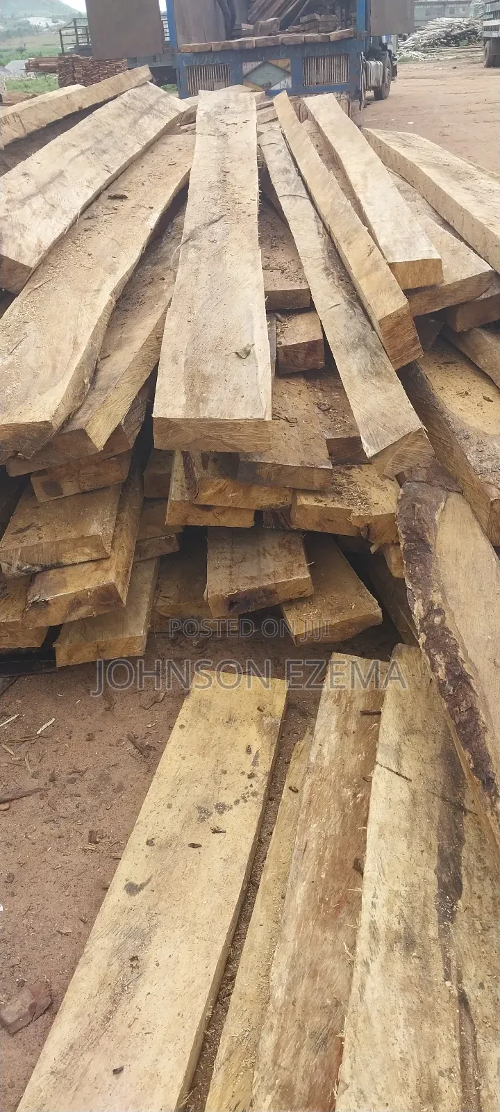 Taraba Woods