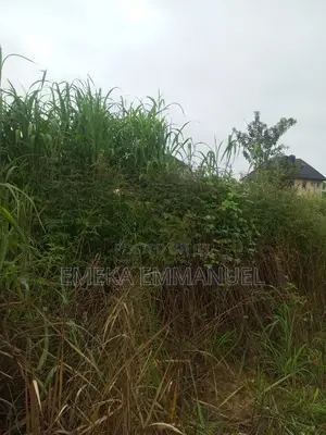 1 Plot of Land for Sale at Ifite Aniocha Maryland Lay Out
