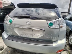 Lexus RX 350 2009 Gray