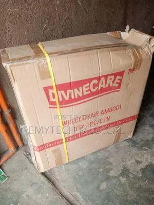 Self Propelling Wheelchair in Carton