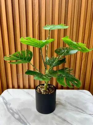 Simulation LED Plants