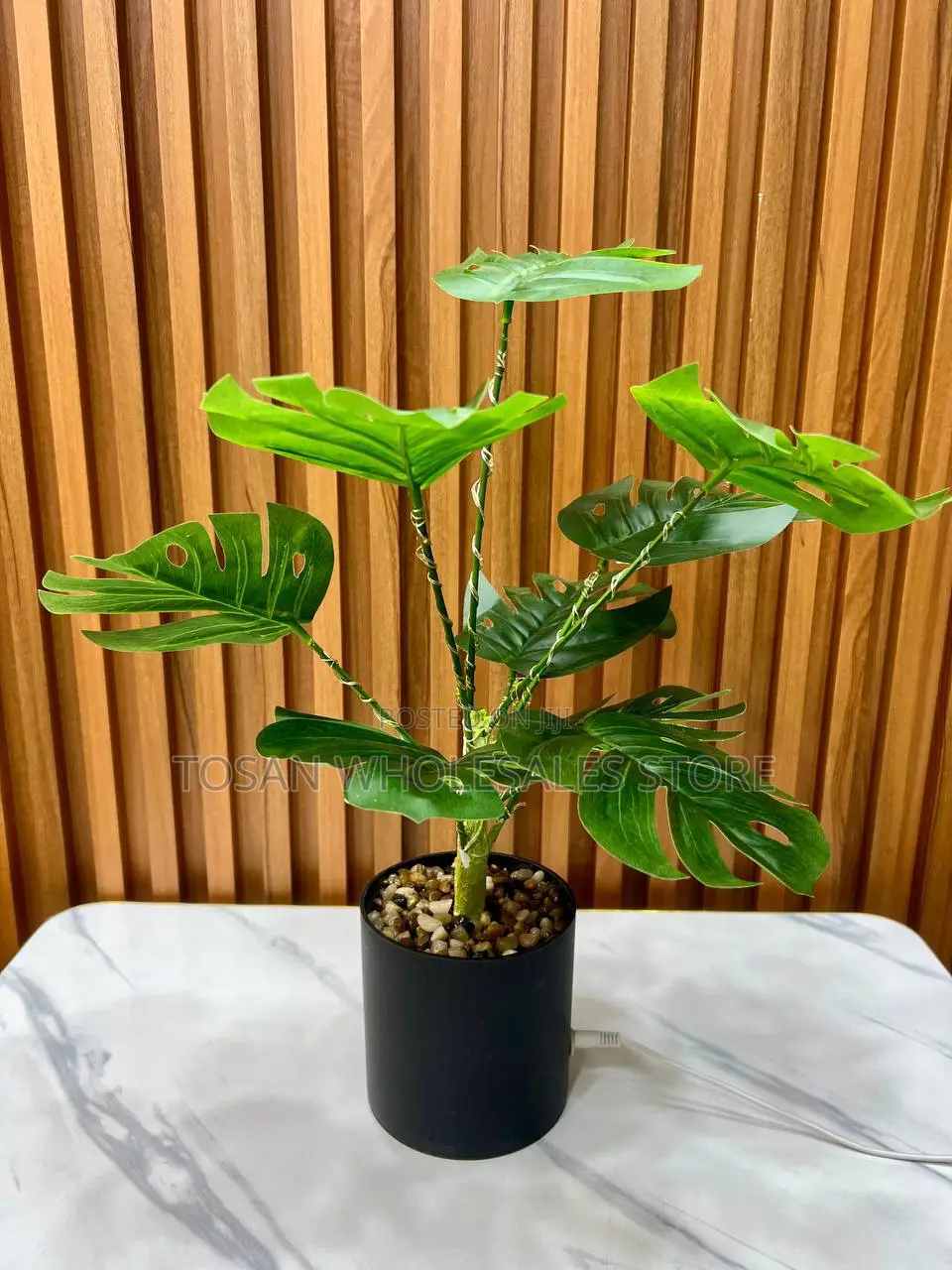 Simulation LED Plants