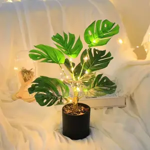 Simulation LED Plants
