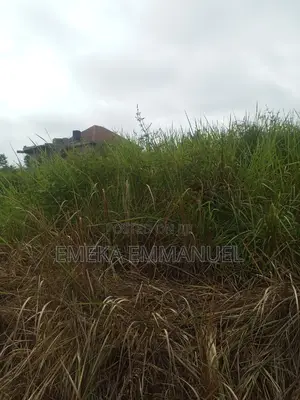 1 Plot of Land for Sale at Ifite Aniocha