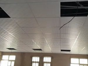 Ceiling Work