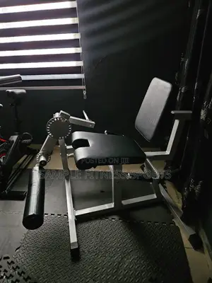 Leg Curl and Extension (Leg Press)