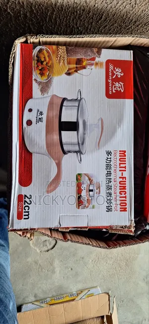 Multifunctional Electrothermal Steamer Pot