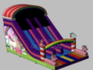 Multi Mega Slide Bouncer