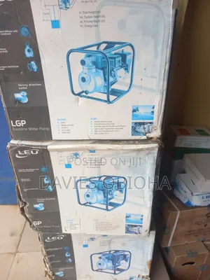 Leo Gasoline Water Pump