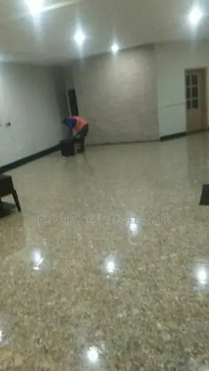 Professional Cleaning for Luxury Apartment