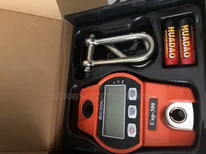 Mini Crane Scale