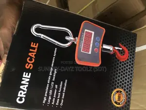500kg Crane Scale