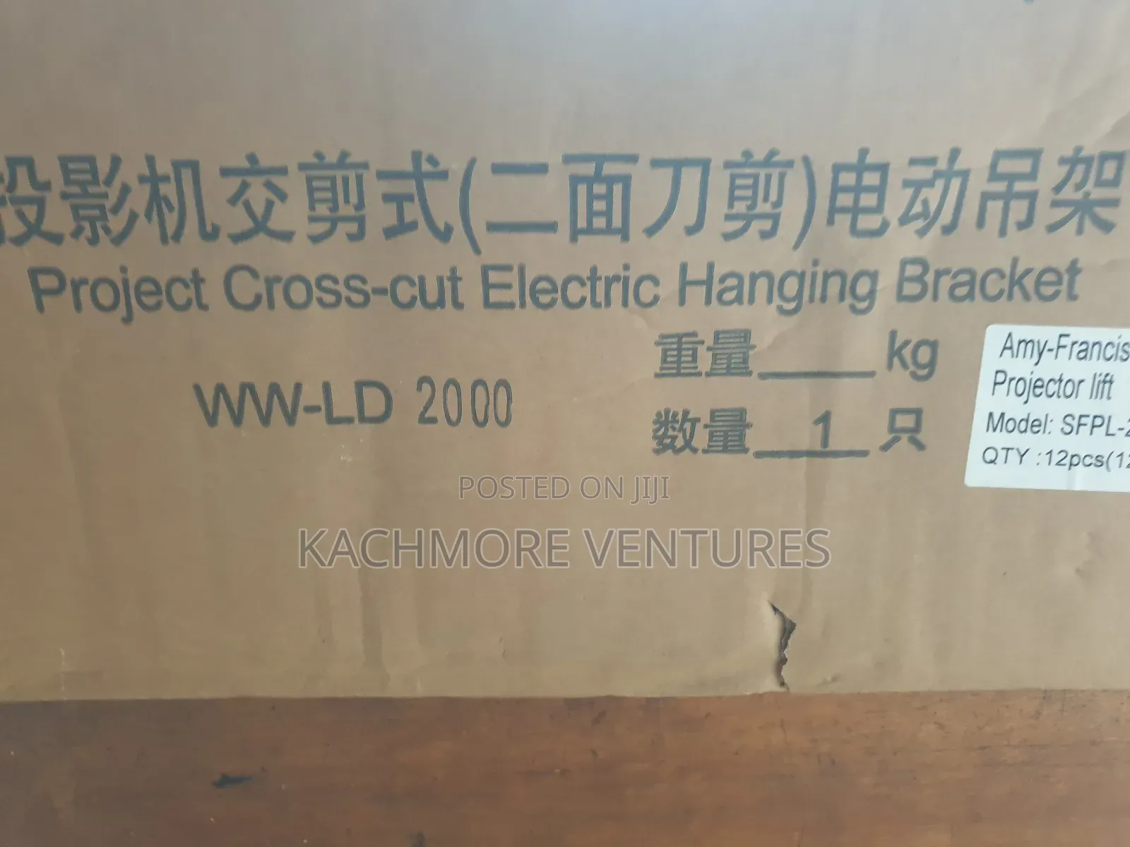 Eletronic Projector Hanger
