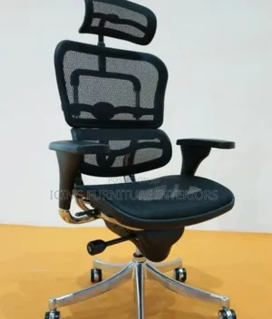 Executive Office Chair With High Durability
