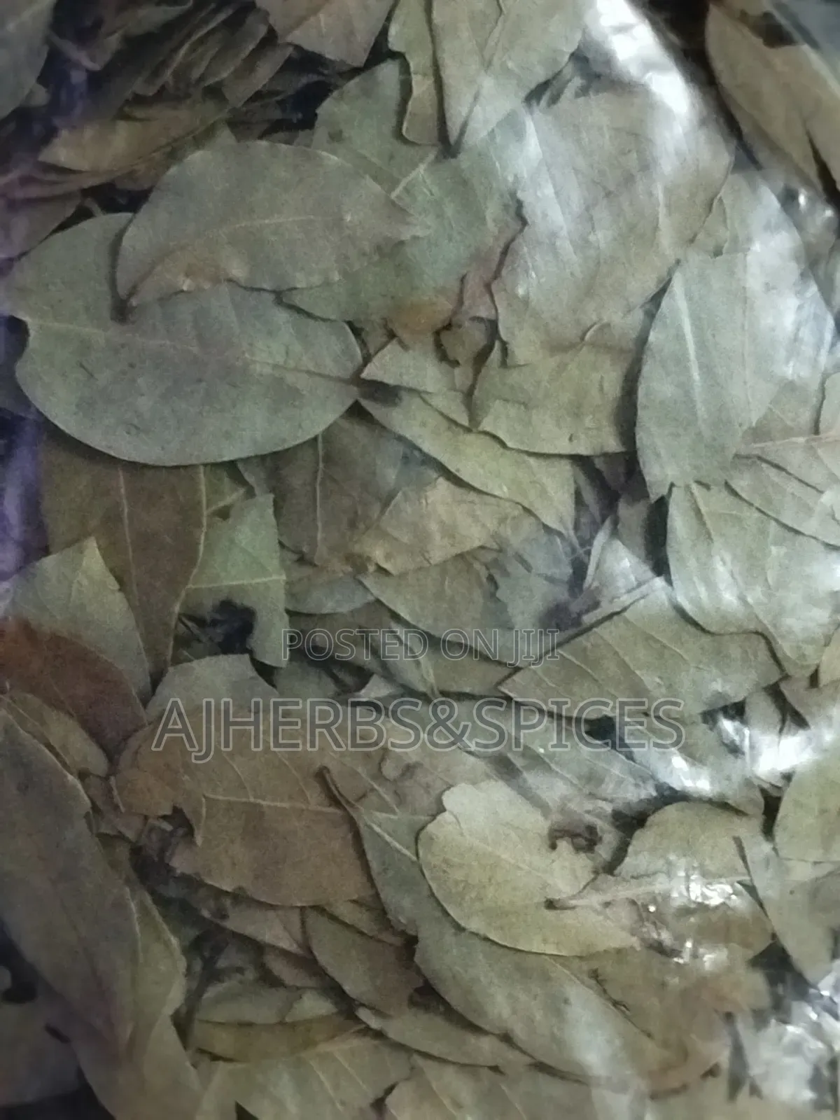 Fresh Dried Bayleaf
