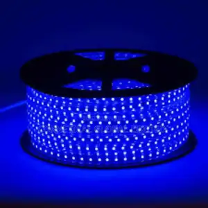 Modern Quality Single Color LED Rope Light