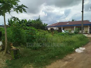 Photo - A 300sq.M Land for Sale at Udoudoma Avenue, Uyo, Akwa Ibom S