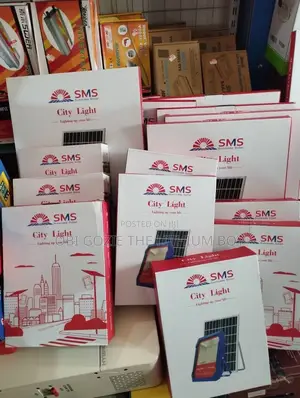 100 Watts SMS City Light Floodlight