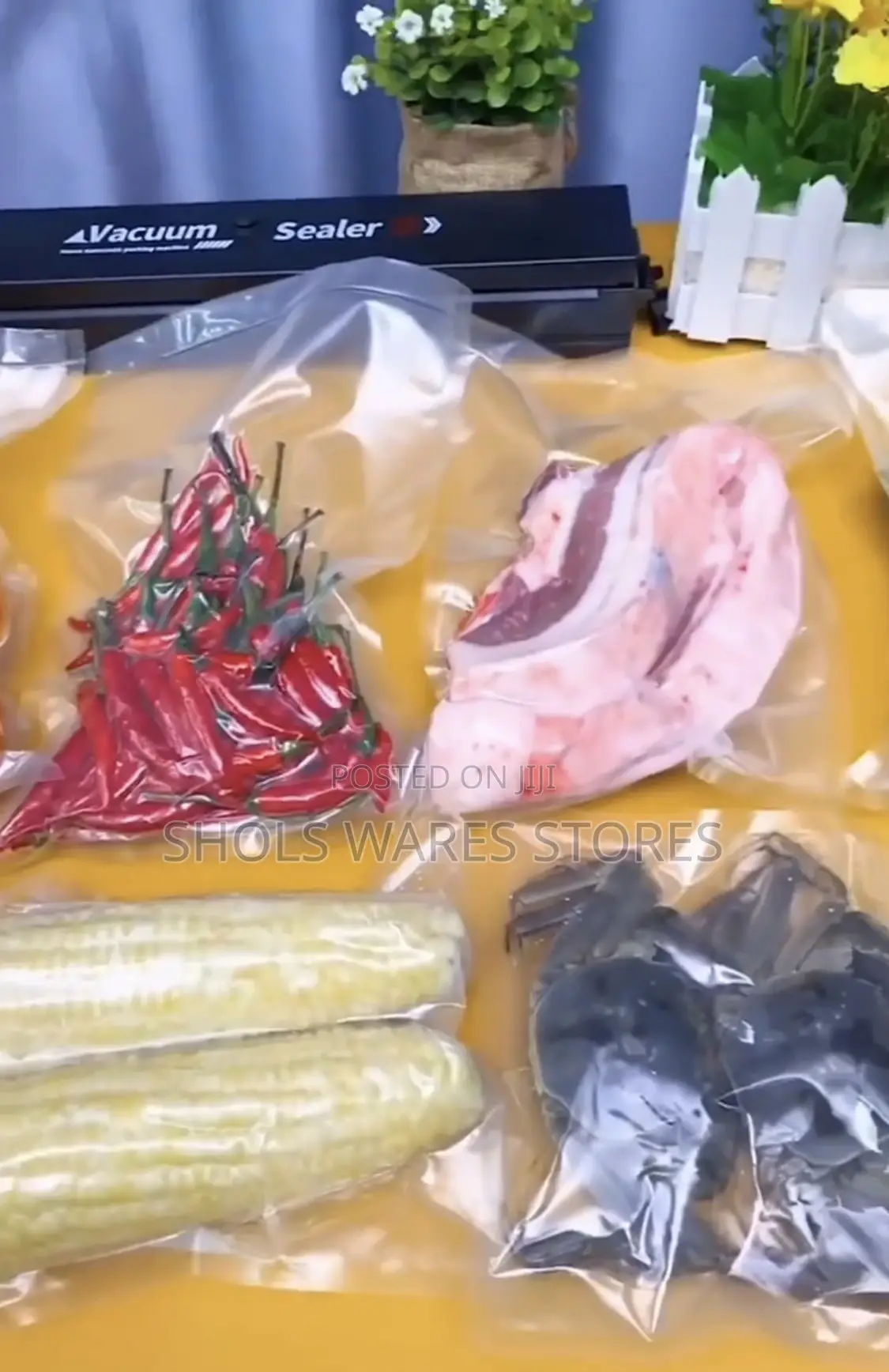 Vacuum Sealer