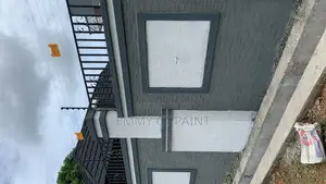 High Quality Gravitex Paint