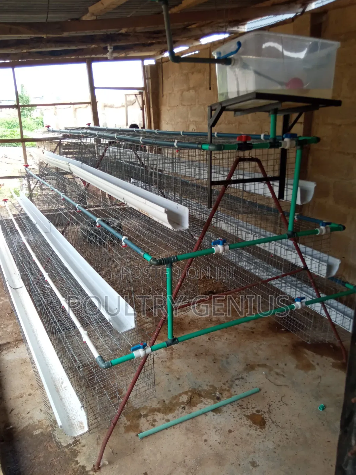 Local Cage