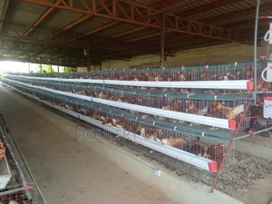 Local Cage
