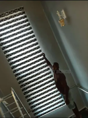 Window Blinds (Blackout Roller)