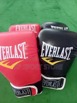 Everlast Boxing Gloves