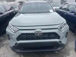 Toyota RAV4 2019 Gray