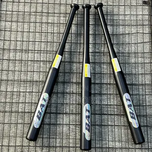 Baseball Bat 1 Professional