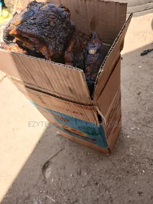 Aja Cut Cut in Cartons