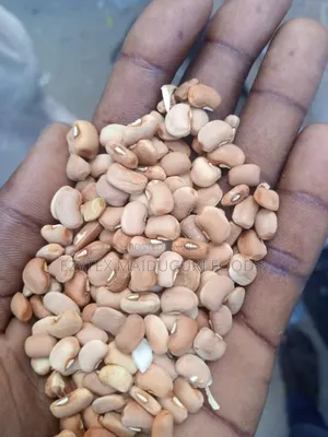 Honey Beans (Brown Type) Grade 1