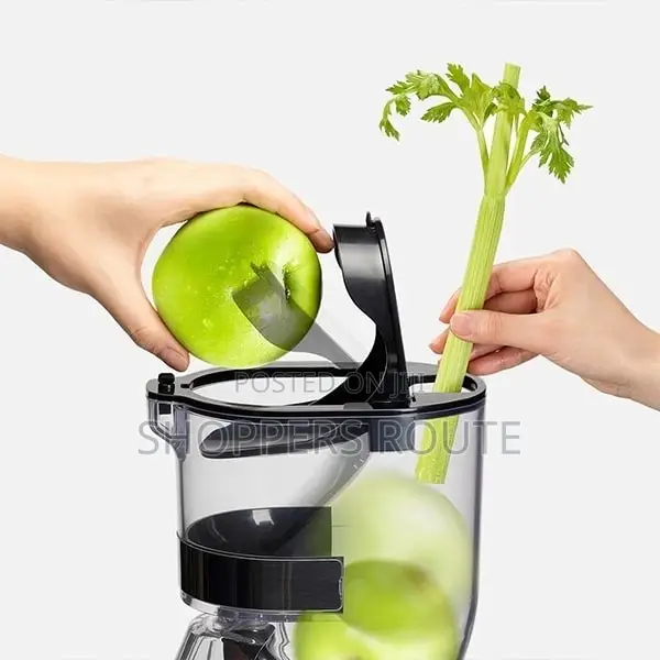 Kuvings Commercial CS600 Whole Slow Masticating Juicer