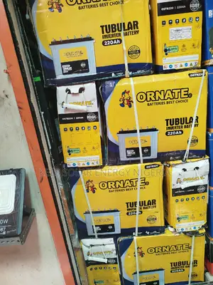 Original Ornate 220a Tubular Battery
