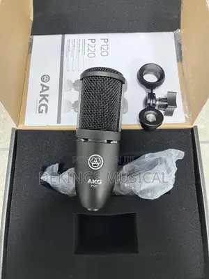 AKG P120 High-Performance General Purpose Recording Mic