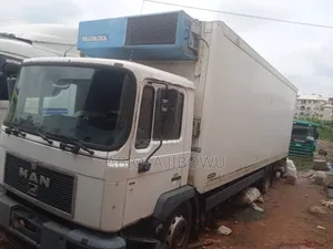 Man Cooling Truck
