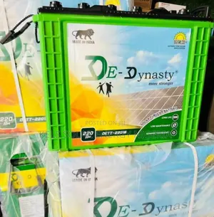 Quality De Dynasty 220a 12v India Tubular Battery