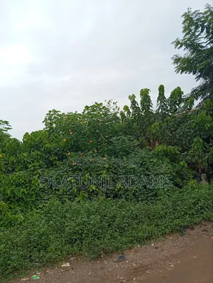 2000acres of Farmland at Ogbaga/Gbongan