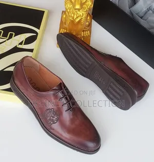 OGGI Luxury Shoe
