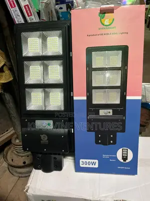 30 Watts Solar Street Light