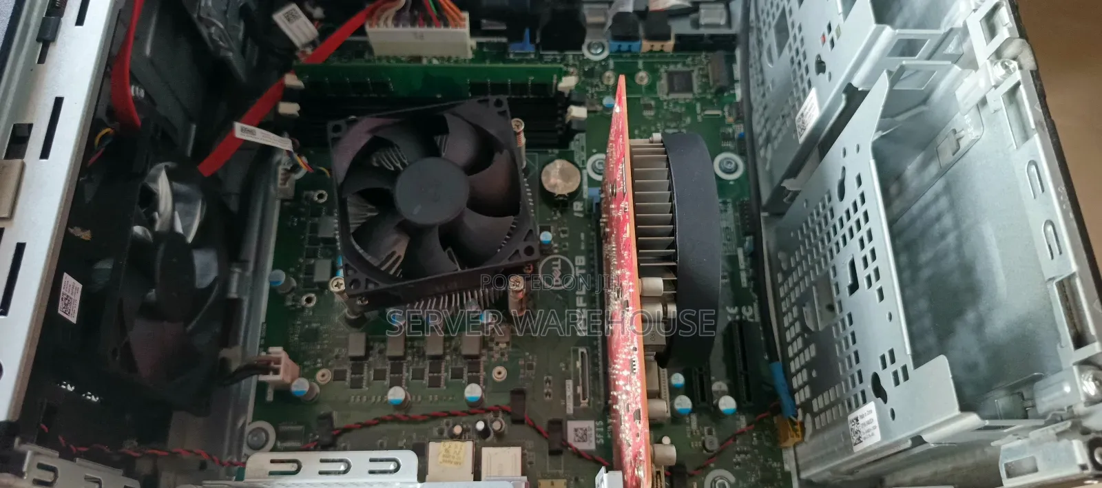 Server Dell PowerEdge T40 8GB Intel Xeon HDD 2T