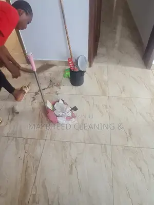 The Best Cleaning Service ":;