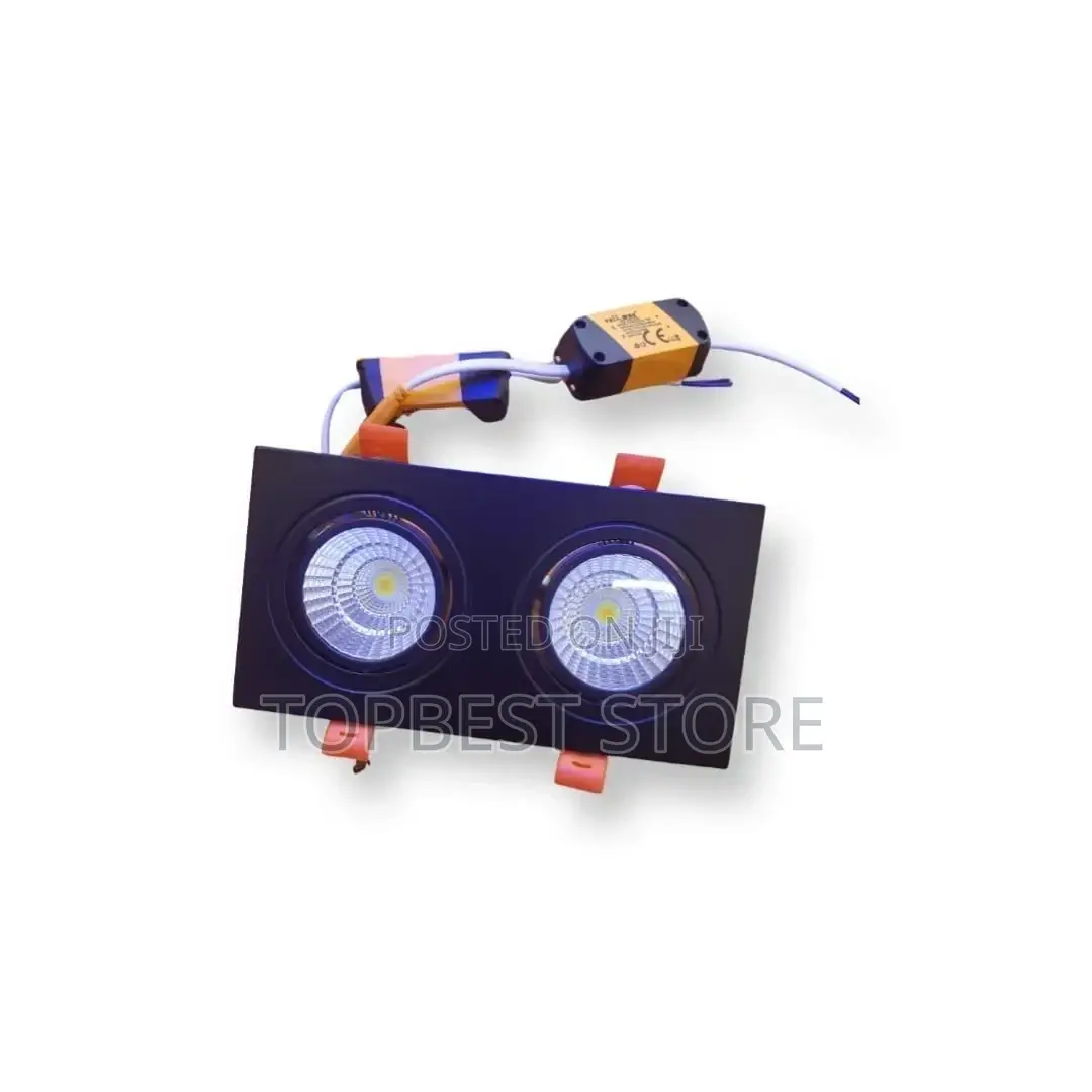 Double Cob Recess Light
