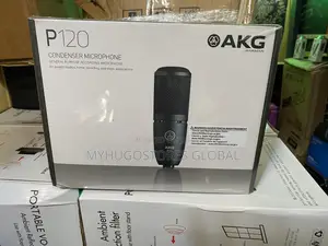 AKG P120 Cardioid Condenser Microphone (Black)