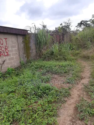 Plots of Land Measuring 600 SQM in Ifo Coker Ogun State
