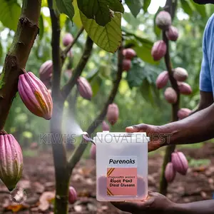 Perenoks Fungicide: Protect Your Cocoa From Black Pod